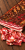 Palatin Feketekői kolozsvári Hungarian bacon, shown as a whole slab with thin slices on rustic wood. Explore Hungarian deli meats at OstryStefek.pl.